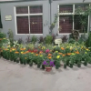 Отель Sri Aurobindo Nivas, фото 7