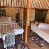 Гостиница Yurt camping, фото 1