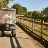 Отель Port Lympne Reserve - Port Lympne Hotel, фото 15