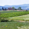 Отель Agriturismo Spereta, фото 19