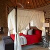 Отель Thanda Safari, фото 4