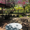 Отель Mangroove Bay Boutique Hostel, фото 22
