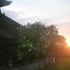 Отель Gustis Garden 2 Guest House, фото 1
