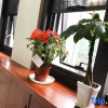 Отель Deyuan Hotel, фото 4