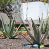 Отель Villa Aloe, фото 17