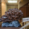 Отель Banfu Hotel, фото 18