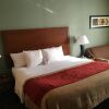 Отель Comfort Inn Jackson I-40, фото 7