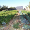 Отель Ferme D'hôte Eco Farm Tayssir, фото 31
