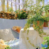 Отель Teacher Yuan's Courtyard (Xiangbishan Lijiang Branch), фото 3