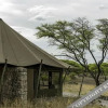 Отель Onguma Tented Camp, фото 11