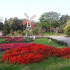 Отель Shan Shuimei B&B, фото 27