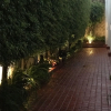 Отель Emperador Centro Guadalajara y Remodelado, фото 16