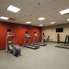 Отель Hilton Garden Inn Findlay, фото 21