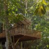 Отель Bergendal Amazonia Wellness Resort, фото 31