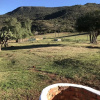 Отель Farm Stays, Here you Will be Able to Relax and Enjoy the Beauty of Nature, фото 37