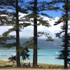 Отель Leanda Lei - Lord Howe Island, фото 18