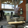 Отель Litochoro Olympous Resort, фото 5