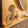 Отель Suite Hotel Sunstar Brissago, фото 21