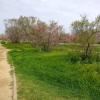 Отель Apartment With 2 Bedrooms in Cubelles, With Wonderful sea View, Private Pool, Enclosed Garden - 100 , фото 28