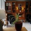 Отель Residence Hotel Les Ducs De Chevreuse в Шеврезе