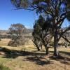 Отель Burnt Creek Cottages Mansfield, фото 22