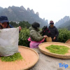 Отель Just waiting for you inn (Zhangjiajie Railway Station Tianmenshan Cableway Station), фото 3