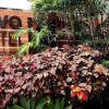 Отель Novo Hotel Express в Каракасе