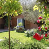 Отель Villa Geta, фото 1