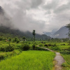 Отель Himalayan River Garden, фото 21