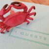 Отель Crab Shack Apartments - Stylish back beach duplex apartment, Teignmouth, фото 2