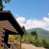 Отель Tanglewood Motel and Log Cabins, фото 15