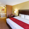 Отель Comfort Suites Phoenix Airport, фото 2