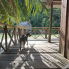 Отель Sok San Waterfall Guest House, фото 8