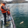 Отель Yacht Lago Titicaca, фото 37