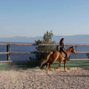 Отель Yayaki Spetses, фото 18