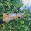 Отель Mandhasativa Homestay, фото 1