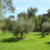 Отель Charming Villa in Poggio-Mezzana Near Beach, фото 9