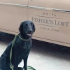 Отель Fisher's Loft Hotel, фото 13