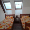 Отель Pensiunea Rose, фото 2