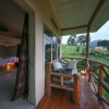 Отель Gorilla Safari Lodge, фото 7