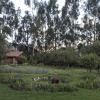 Отель Urubamba Villas Higuspucro, фото 8