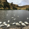 Отель Cosy 1 Bedroom Apartment Right Beside Holyrood Park, фото 11