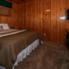 Отель Cubby Bear Retreat-1893 by Big Bear Vacations, фото 14