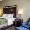 Отель Comfort Inn Cambridge Area, фото 4