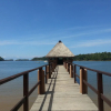 Отель Seagull Cove Resort, фото 22
