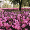 Отель Shuimo Chang'an Art Hotel, фото 16
