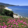Отель Terrazze sul Mare Alla Ciaccia - Apartment 2, фото 9