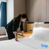 Отель Jifeng Hotel (Kaifeng Songcheng Road Station), фото 24