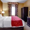 Отель Comfort Suites Florence - Cincinnati South, фото 33