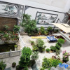 Отель Chayan Fish House·Xizhou Nice||Ancient style elements to enjoy the beautiful courtyard accommodation, фото 1